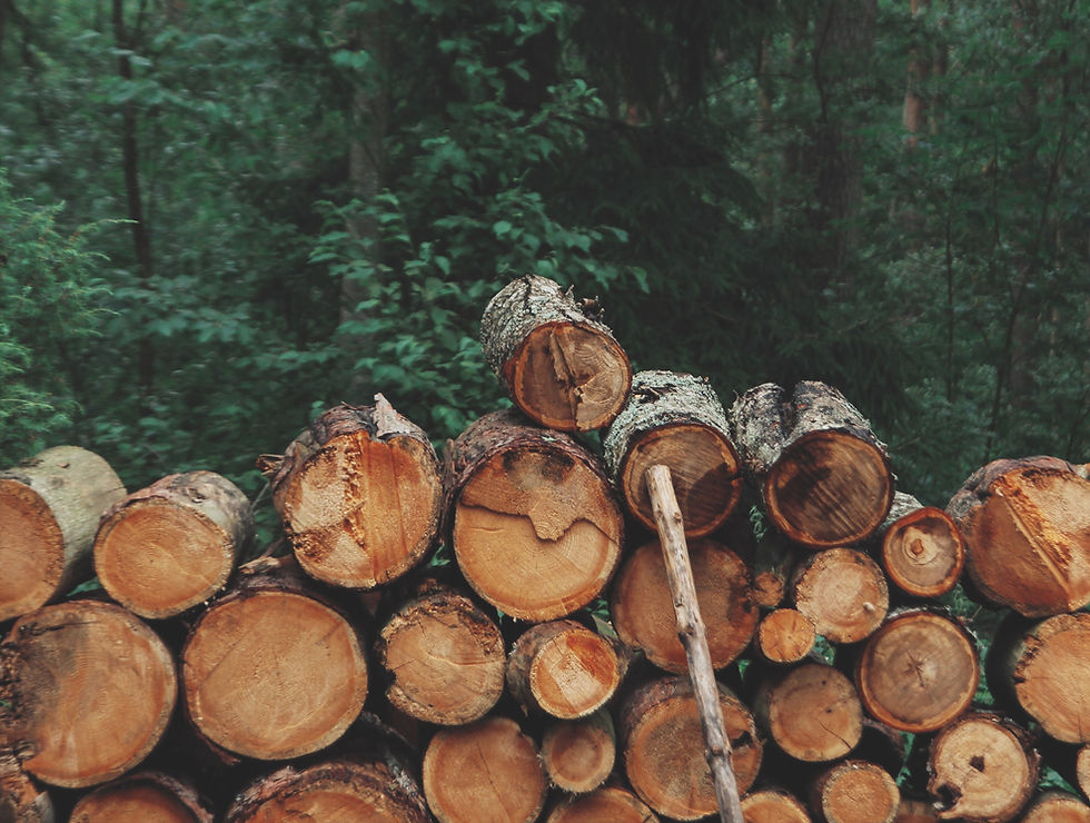 Pile of Logs