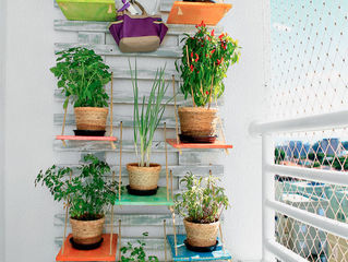 Horta na varanda de apartamento tem cara de jardim