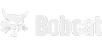 Bobcat_edited.png
