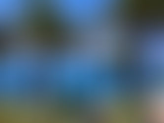 Veronica’s #WritersDiary, Great #Expectations…