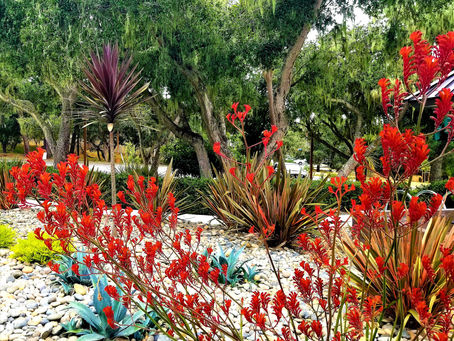 Veronica’s #WritersDairy, It’s Officially #Fall Y’all!