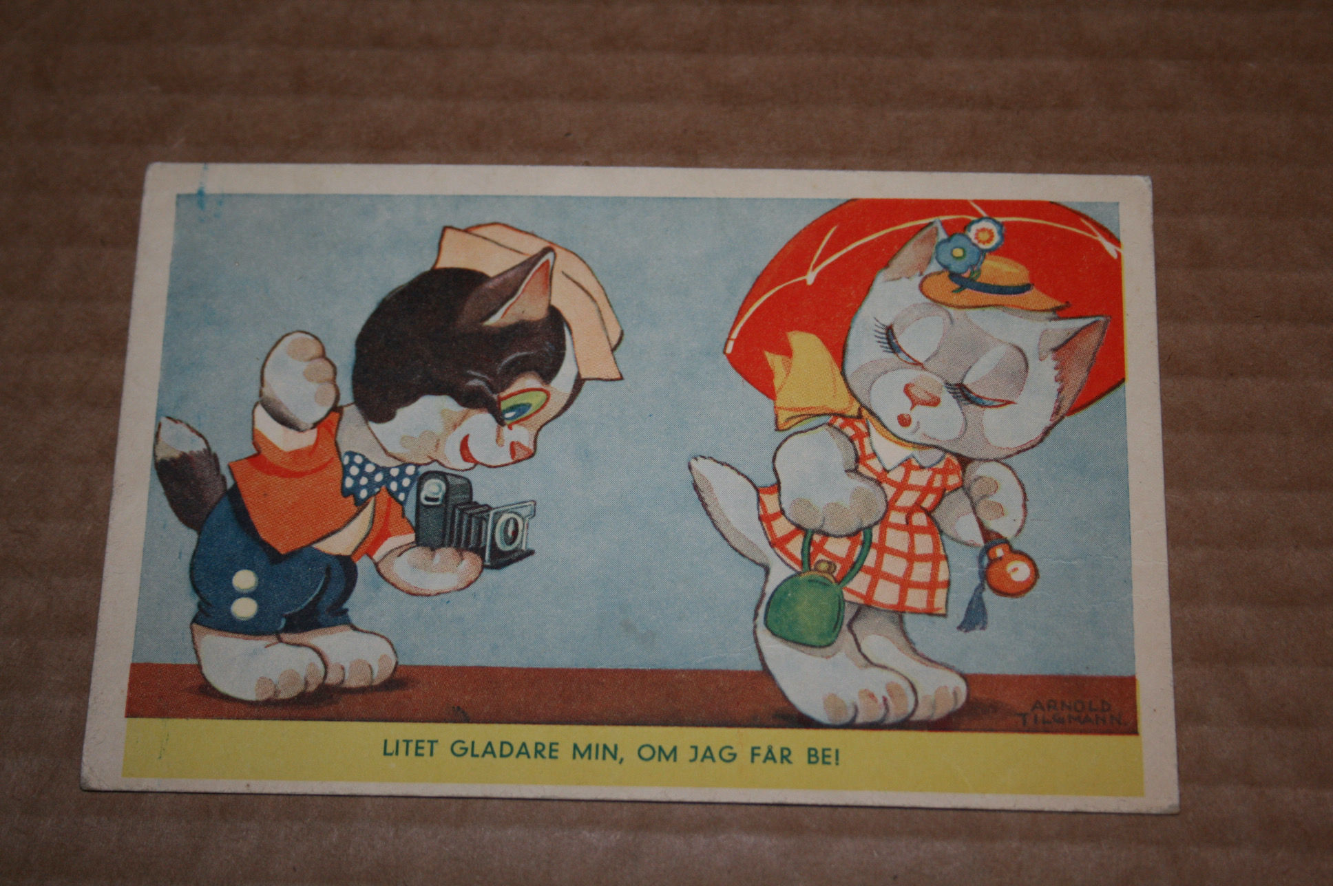 Arnold Tilgmann kissa postikortti