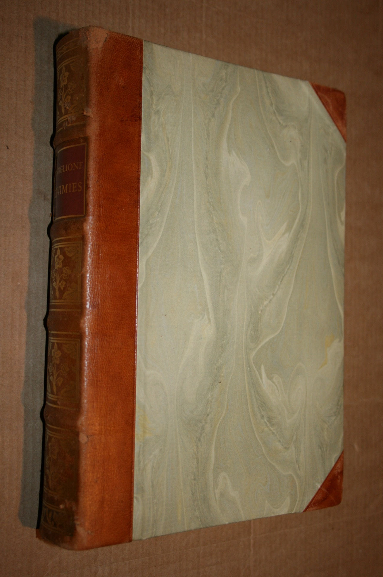 Castiglione, Baldesar: Hovimies