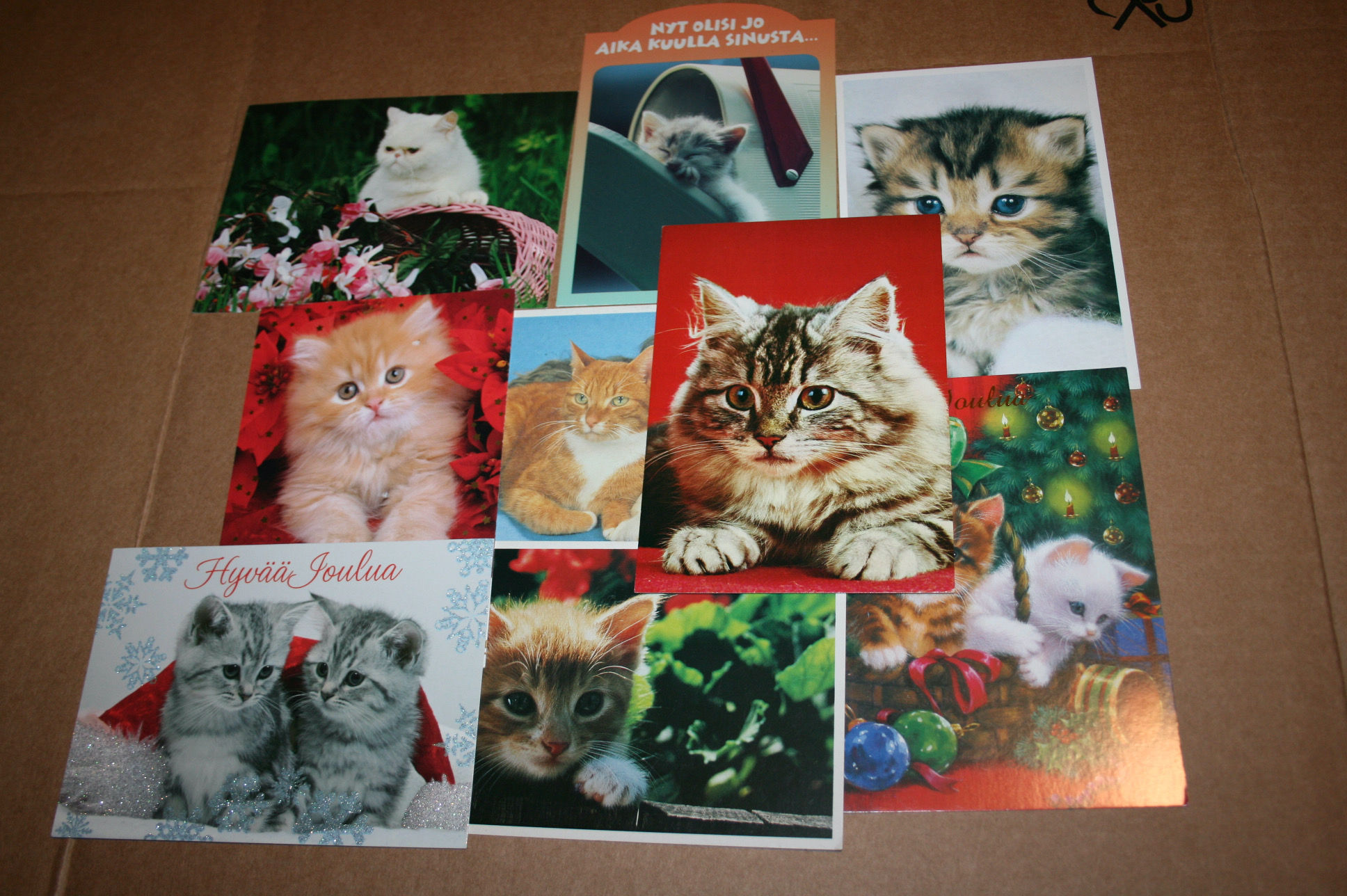 Kissa postikortti 15 kpl.