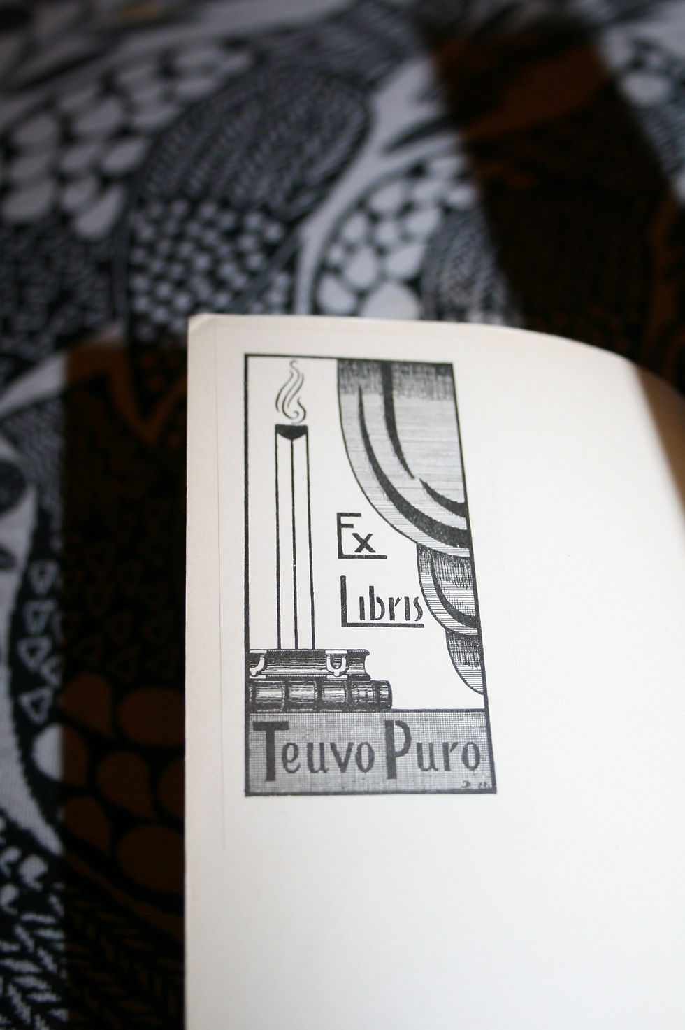 Pikkukuva: Kallas, Aino: Tähdenlento, Koidulan elämä