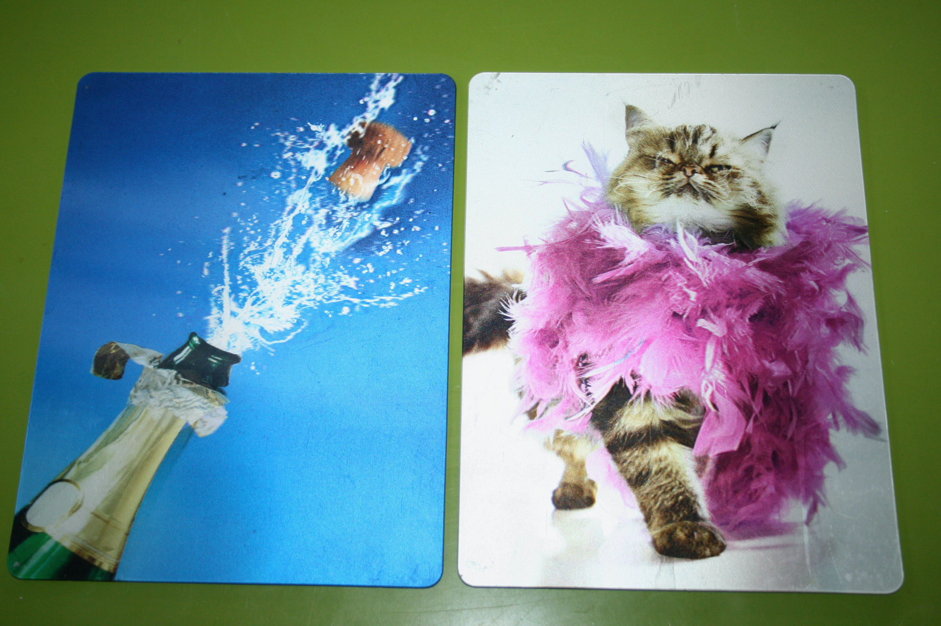 3-D kolmiulotteinen postikortti, kissa, koira, sampanja, puisto