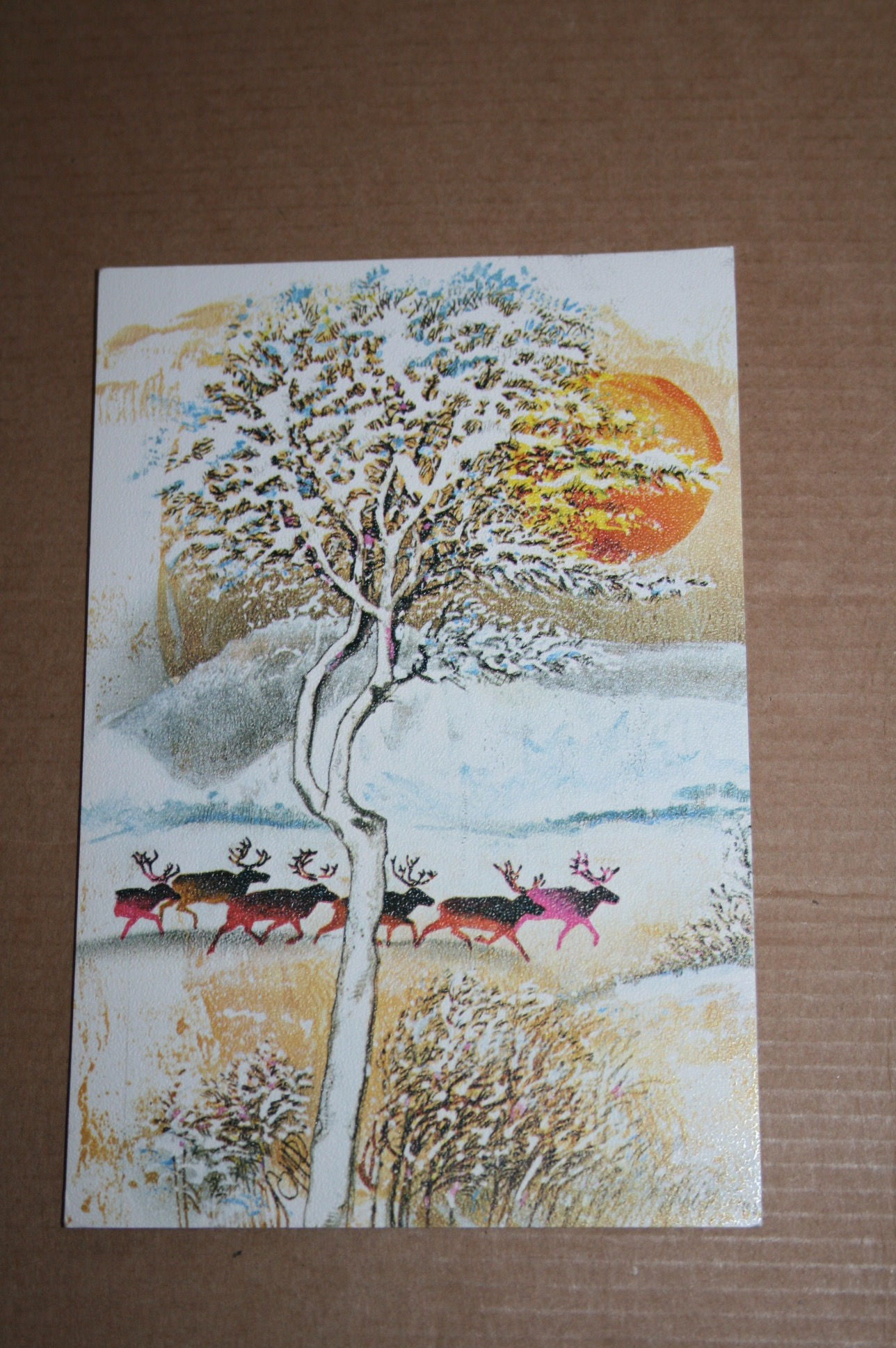 Osmo Omenamäki postikortti