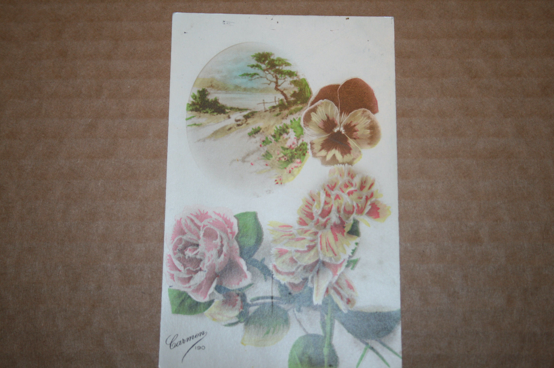 Ranska postikortti kukat maisema