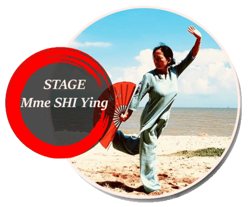 Mme Shi Ying