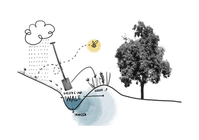 swale, PDC, permaculture
