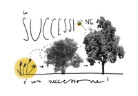 illustration, succession, permaculture