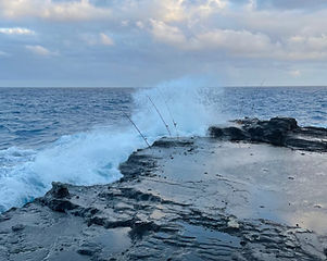 IMG_9049-1024x768.jpg