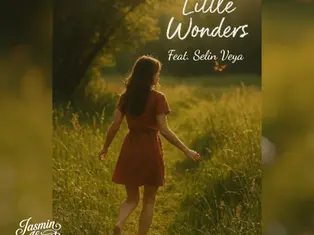 Little Wonders by Jasmin Ahrent