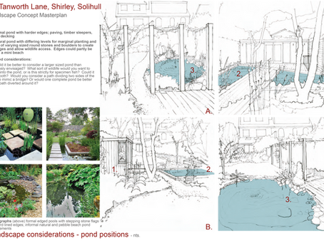 Planning for the future - creating a garden masterplan