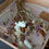 Thumbnail: Brown& White dried flower bud vase arrangement 