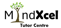 MindXcel Logo.png