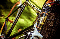 603082_10151175087051682_459125380_n