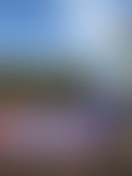 Primeira Caminhada CABE Saúde em Movimento: Um Marco de Bem-Estar e Conexão!