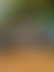 Recanto dos Veteranos é inaugurado com louvor