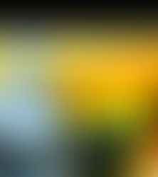 Descriminalização não impede abordagens policiais