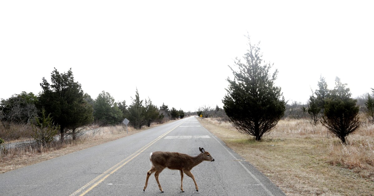 impacts_of_the_us_government_shutdown_on_key_services_and_programs_