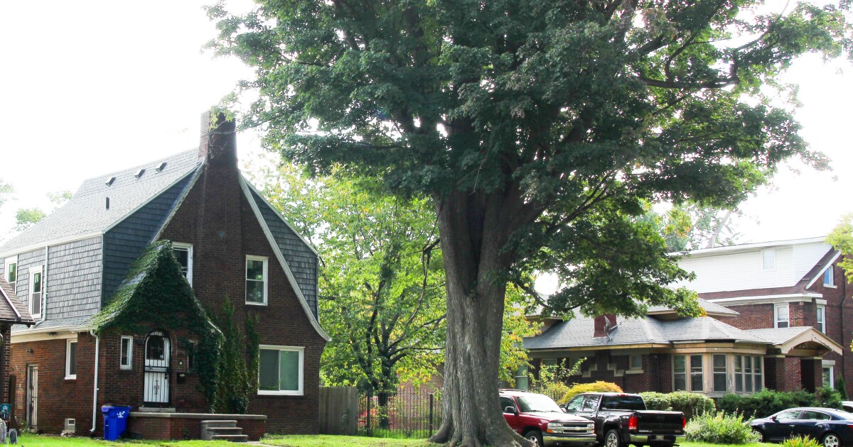 michigan_voters_face_dual_property_tax_cut_proposals_in_2024_election_