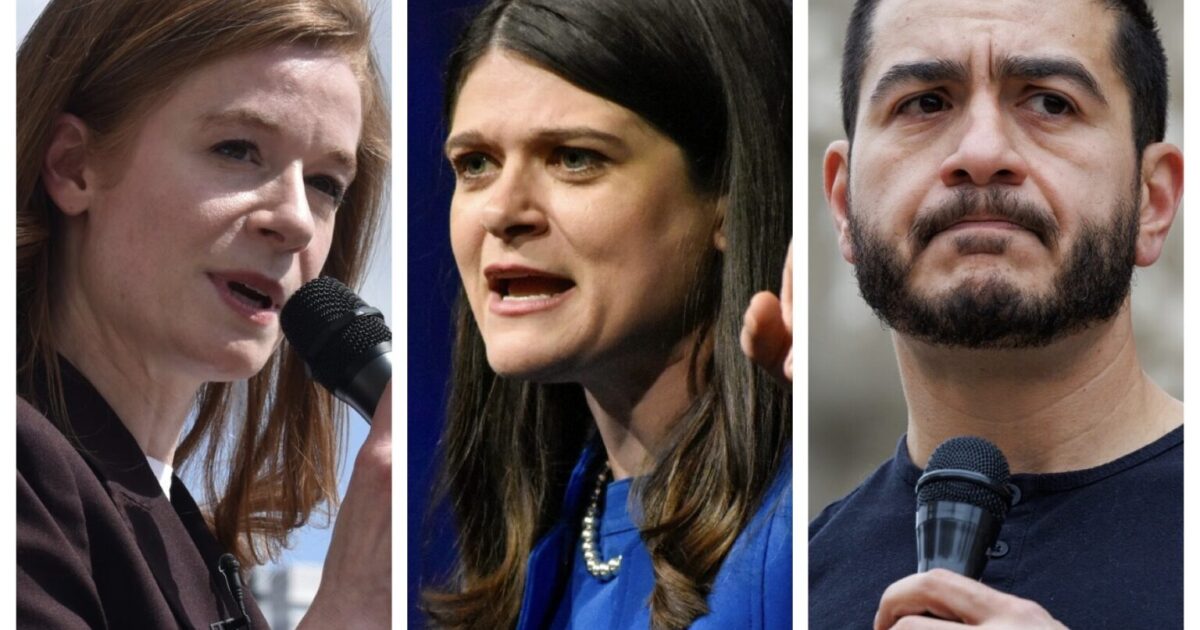 democratic_senate_primary_in_michigan_candidates_engage_in_bitter_feuds_