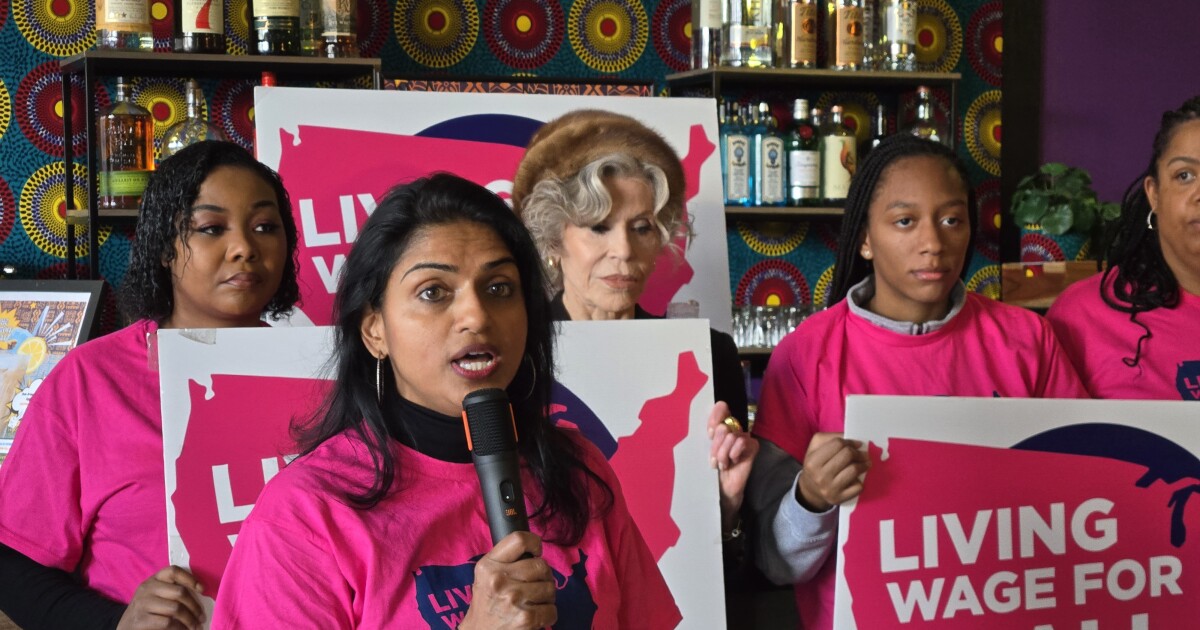 michigan_ballot_initiatives_shift_focus_amid_challenges_for_future_votes_