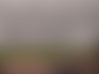 Afghan man with pending asylum case dies in ICE custody in Dallas