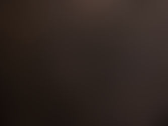 Tariff Exemptions: Trump Eases Brazilian Food Product Tariffs for Consumers