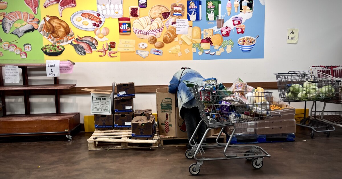 michigan_ensures_full_snap_benefits_amid_ongoing_federal_shutdown_