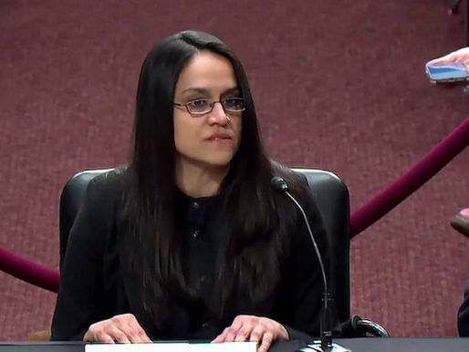 Testimony: Minnesota woman with disabilities detained during ICE surge