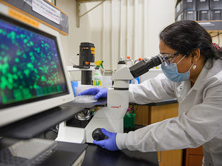 Musk’s DOGE Cuts Are Gutting Cancer Research 