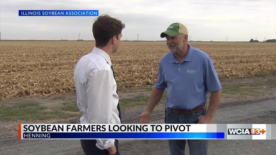 illinois_soybean_industry_faces_trade_challenges_and_seeks_new_markets_