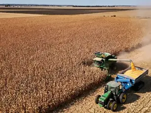 "We're all just in survival mode": Farmers pushed to the brink by diesel costs and tariffs