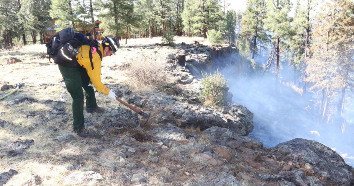 trumps_unified_wildfire_agency_cost_implications_and_concerns_