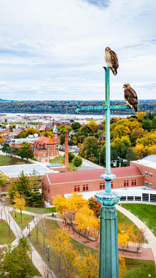 Loras College: “Religious Liberty and the Culture War Over LGBT Rights: Can University Students Make a Difference?” 