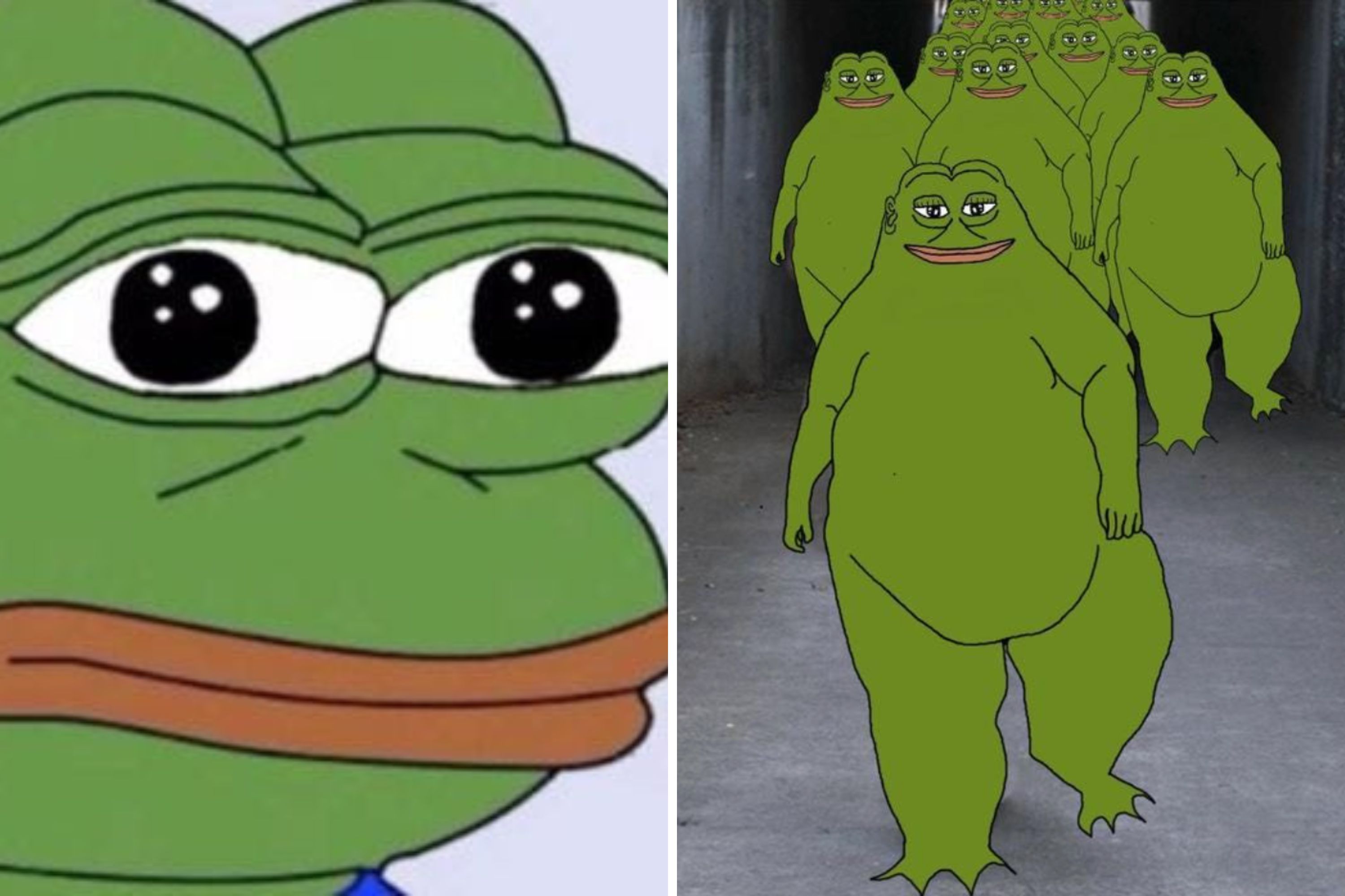 understanding_the_groyper_movement_impact_of_charlie_kirks_death_