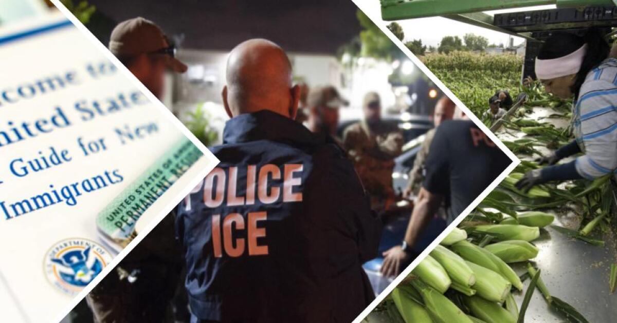 michigan_communities_push_back_against_dhs_sanctuary_city_designation_