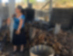 Mezcalera roasting agave piñas in an underground oven as part of the traditional mecal distillation process in Oaxaca, Mexico.