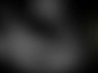 エコーを買いました