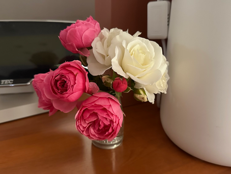 今年もたくさんのバラが咲きました