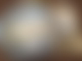 おせちを食べない剛くんのために