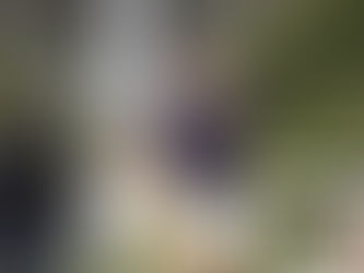 ぶどう狩りに行ってきました