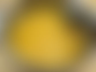 マーマレード作りました