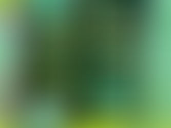 剛くん初の理科展出展!