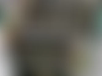 シクラメンの発育記録2