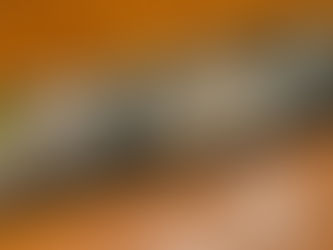 今日の夕飯はさごち!