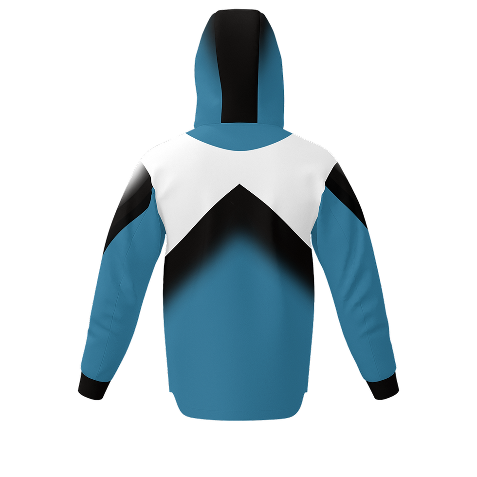 Miniature : Hoodie homme SV-APEX