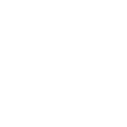 Shield and document icon with checkmarks representing security.